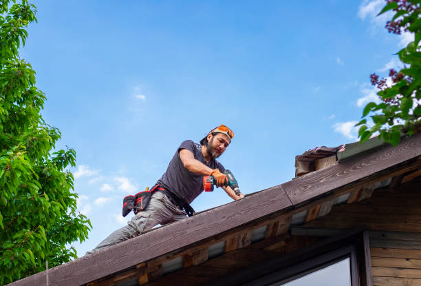 Best 4 Ply Roofing  in Lake Forest Park, WA