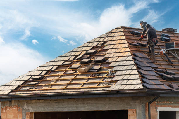Best Skylight Installation and Repair  in Lake Forest Park, WA