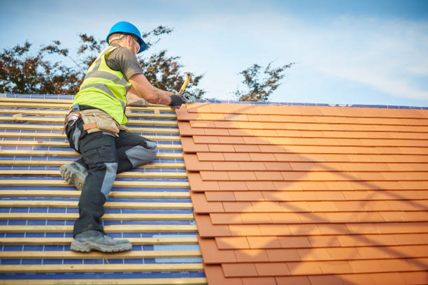 Best Wood Shake Roofing  in Lake Forest Park, WA